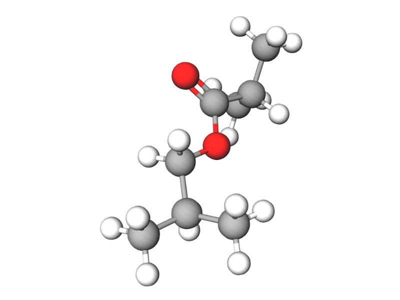 ibib solvent